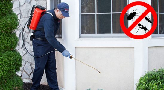 Marmaris Bit İlaçlama böcek ilaçlama ve haşere kontrolü — ilaclama-tr.com